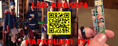 spice Кимры