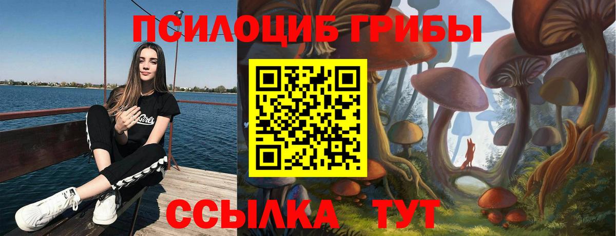 Кирово-Чепецк  где купить   Вход с VPN  Псилоцибиновые грибы Psilocybe 